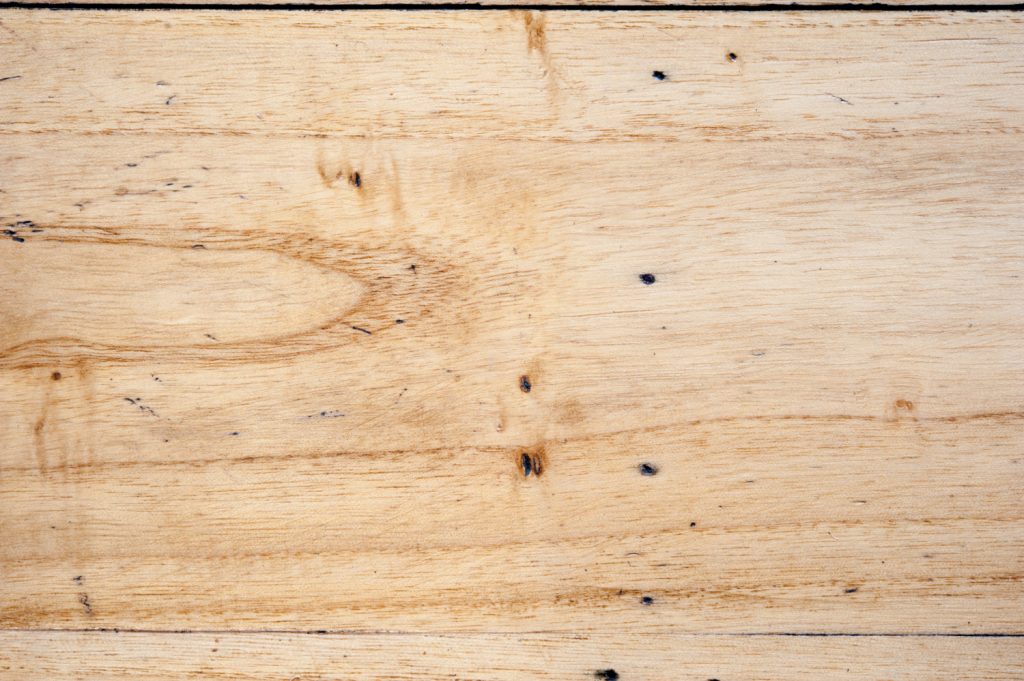 Insetti da legno